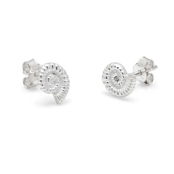 Ammonite design sterling silver stud earrings 