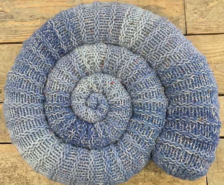 Ammonite cushion